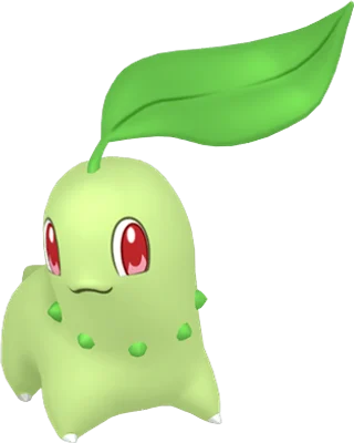 Chikorita