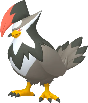 Staraptor